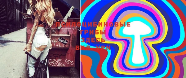 эйфоретик Зеленокумск