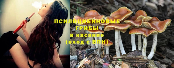 ALPHA PVP Зеленодольск