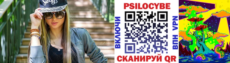 Псилоцибиновые грибы прущие грибы  Кингисепп 