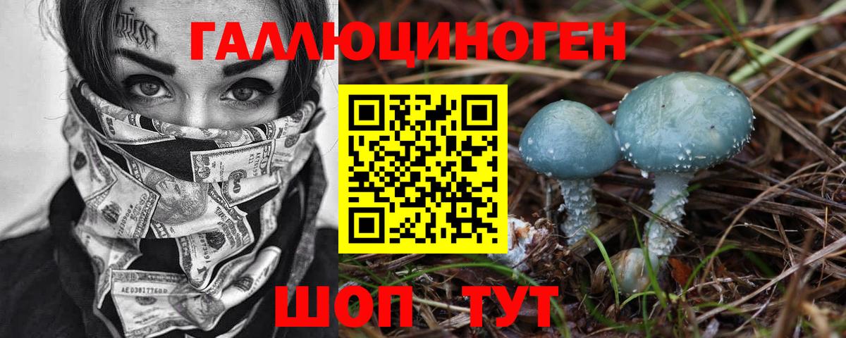 Псилоцибиновые грибы мицелий Кингисепп